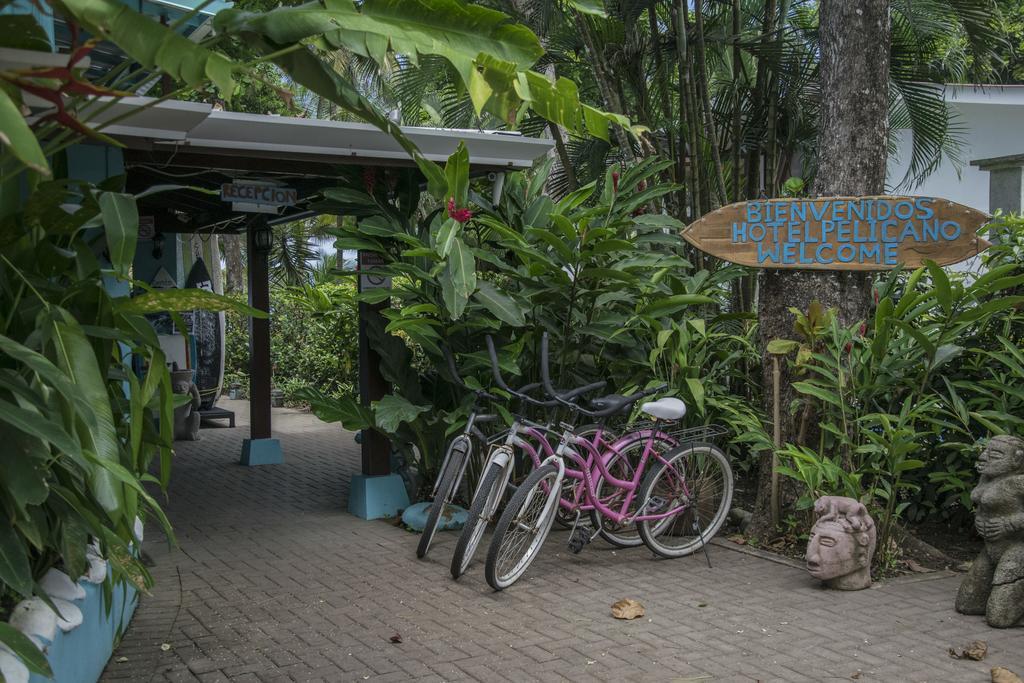 Pelican Beachfront Hotel 埃斯特里略埃斯特 外观 照片